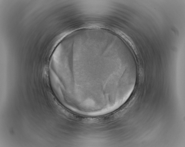 X0000110321481200906181813