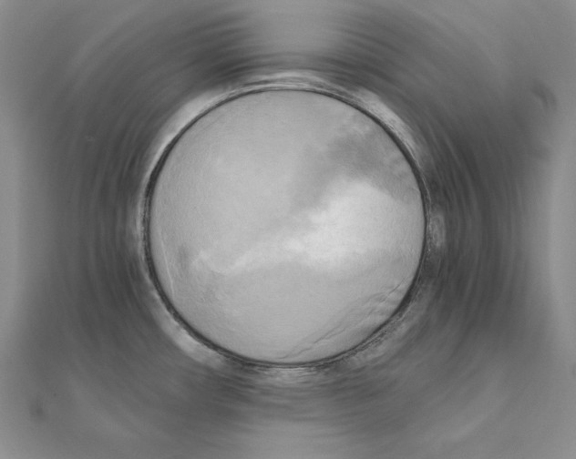 X0000110321482200906181813