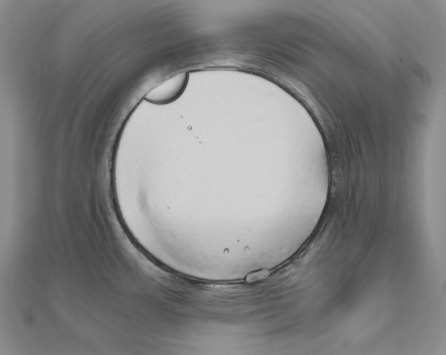 X0000110321483200906181813