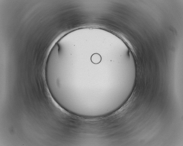 X0000110321484200906181813