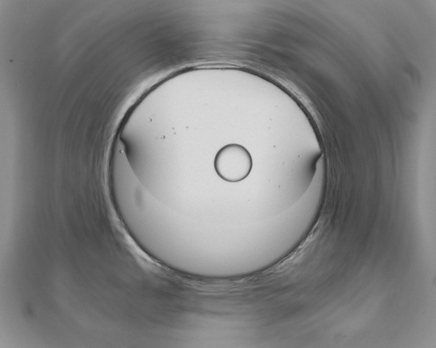 X0000110321485200906181813