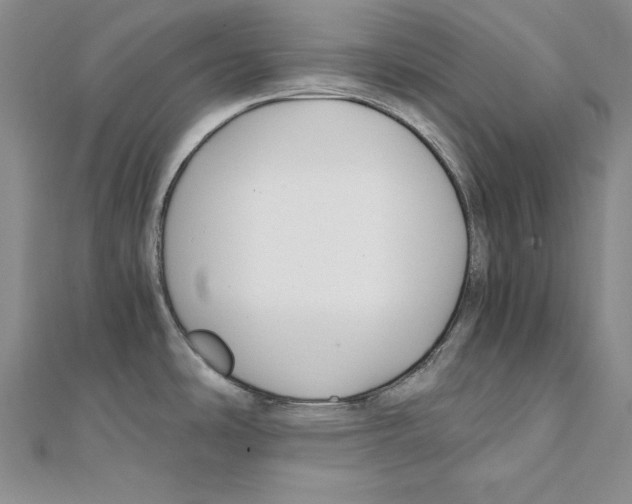 X0000110321486200906181813