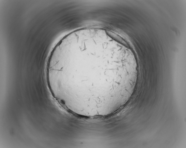 X0000110321488200906181813