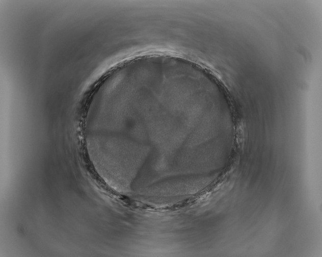 X0000110321496200906181813