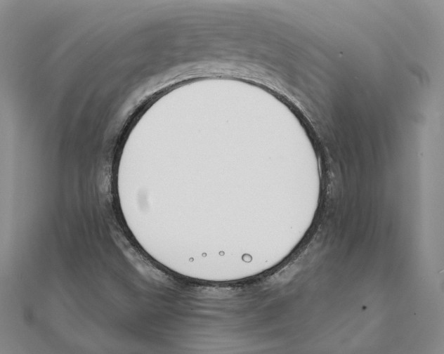 X0000110321499200906181813