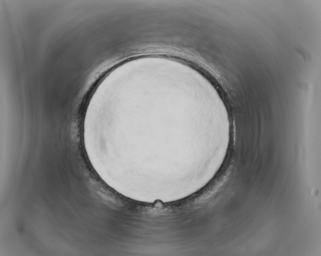 X0000110321501200906181813