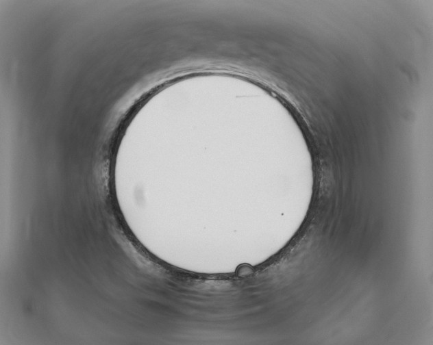 X0000110321503200906181813