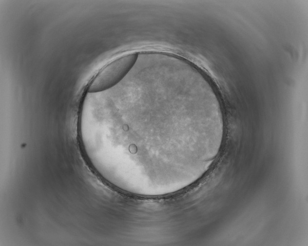 X0000110321504200906181813