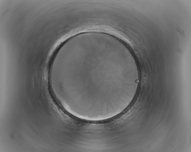 X0000110321506200906181813