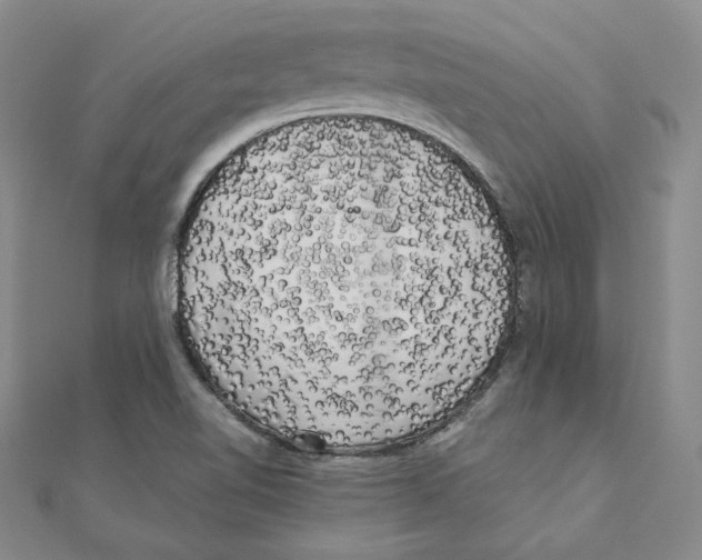 X0000110321510200906181813