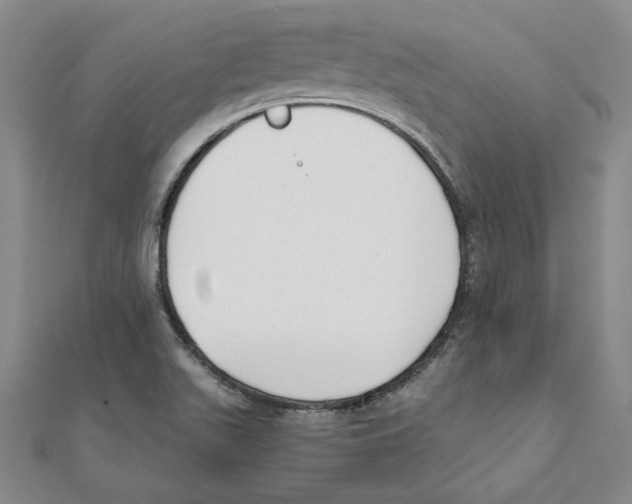 X0000110321511200906181813