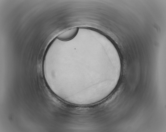 X0000110321513200906181813