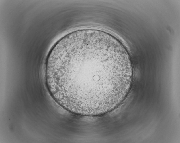 X0000110321514200906181813