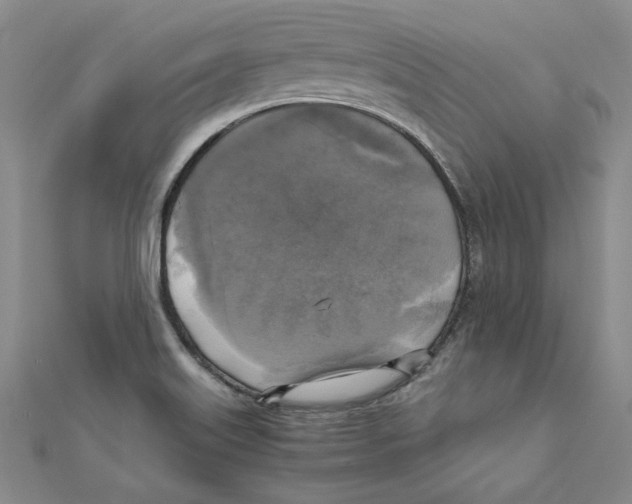 X0000110321515200906181813