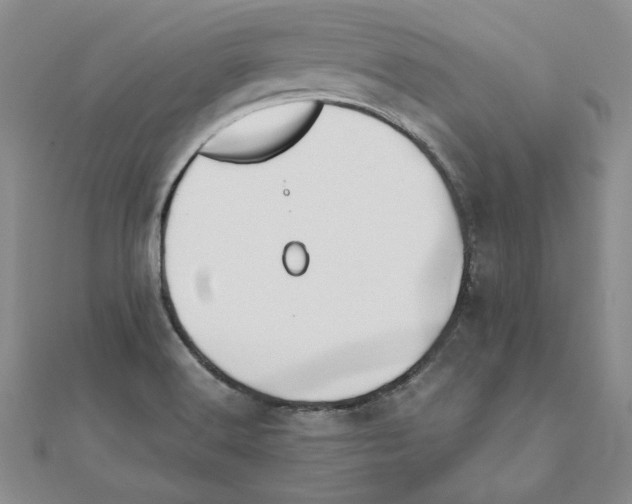 X0000110321516200906181813