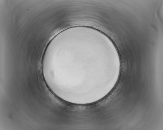 X0000110321521200906181813