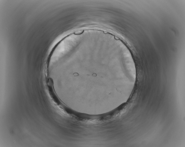 X0000110321522200906181813