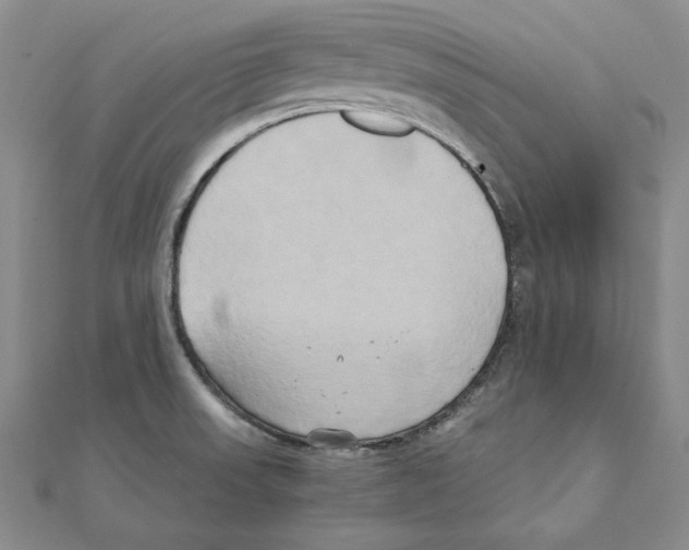 X0000110321523200906181813