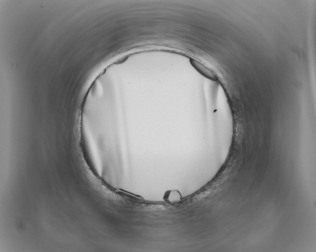 X0000110321524200906181813