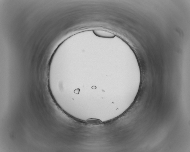 X0000110321526200906181813