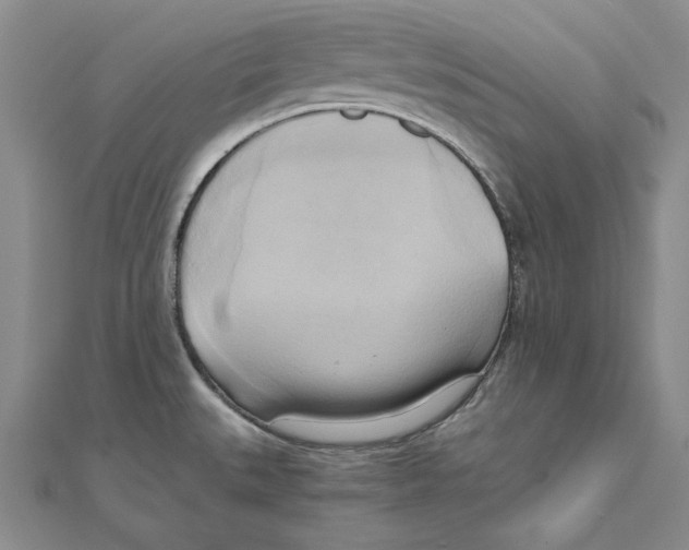 X0000110321527200906181813