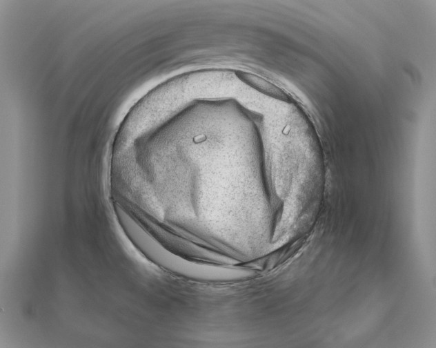 X0000110321528200906181813