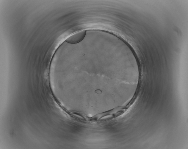 X0000110321529200906181813