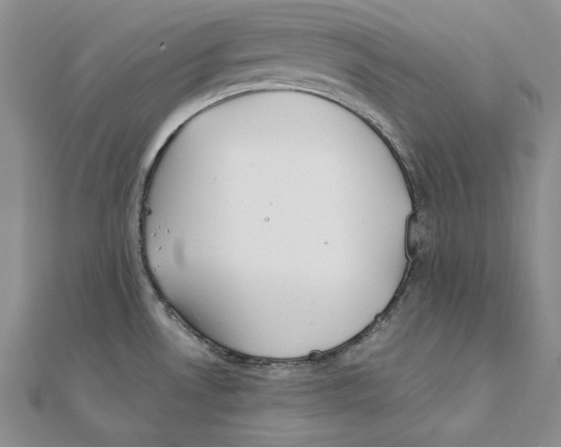 X0000110321530200906181813