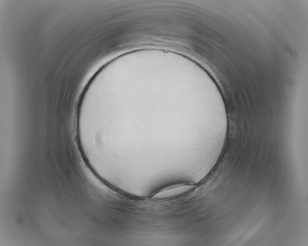 X0000110321531200906181813