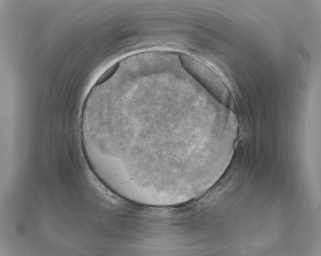 X0000110321532200906181813