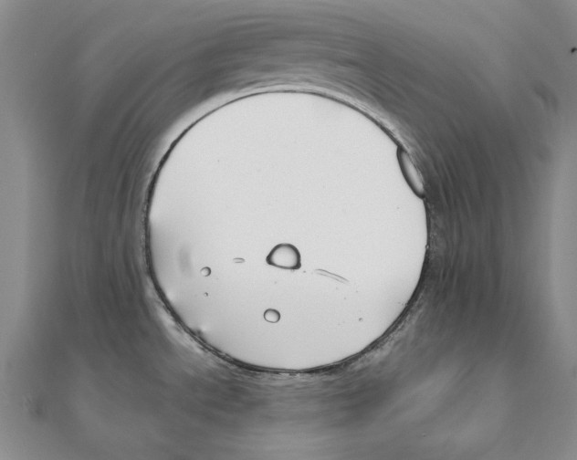 X0000110321534200906181813