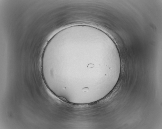 X0000110321535200906181813