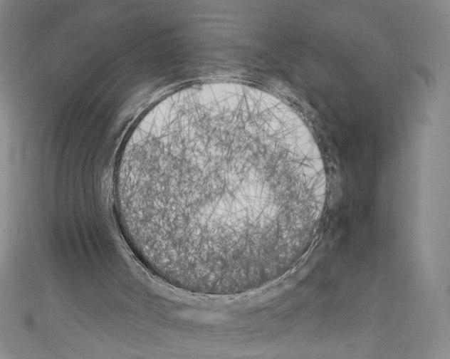 X0000110320002200907021211