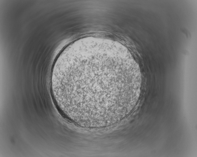 X0000110320003200907021211