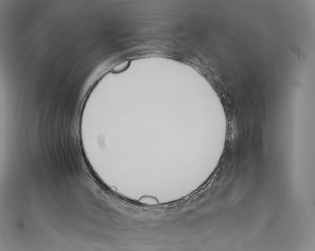 X0000110320004200907021211