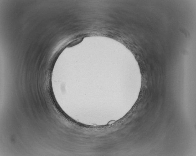 X0000110320005200907021211