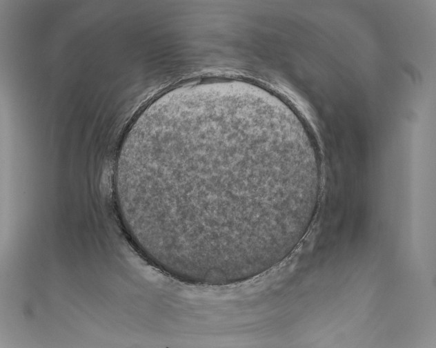 X0000110320009200907021211