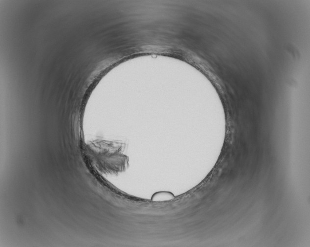 X0000110320011200907021211