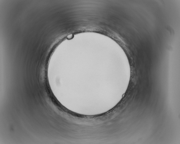 X0000110320012200907021211