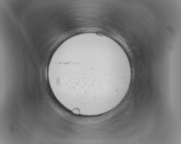 X0000110320013200907021211