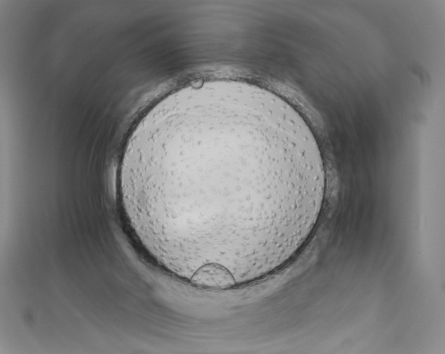 X0000110320014200907021211