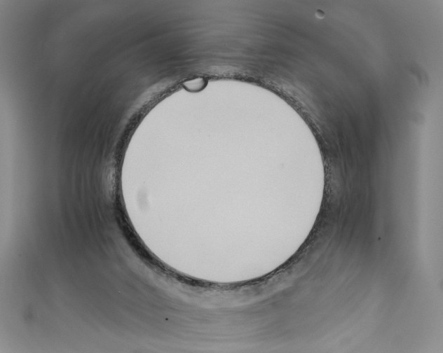 X0000110320016200907021211