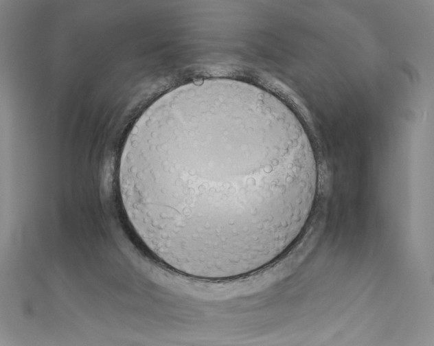 X0000110320018200907021211