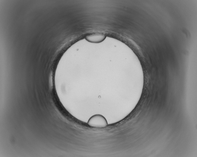 X0000110320020200907021211