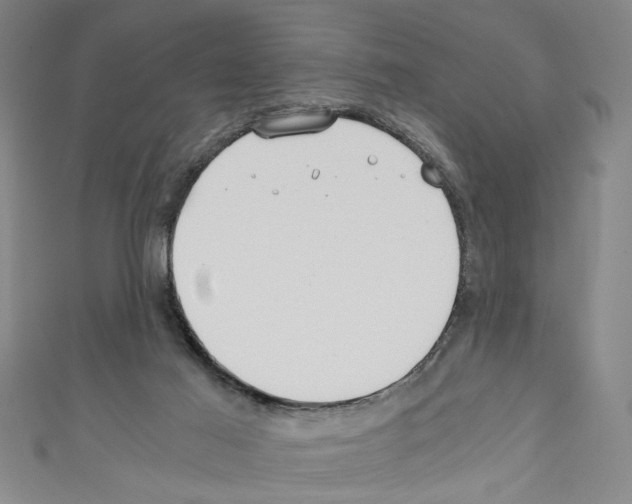 X0000110320021200907021211