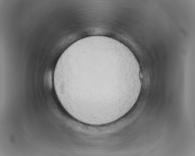 X0000110320022200907021211