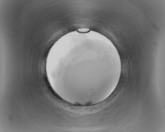 X0000110320023200907021211