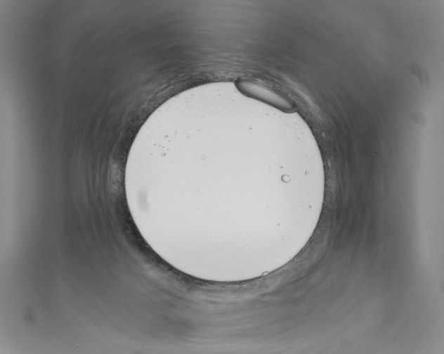 X0000110320025200907021211