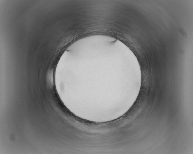 X0000110320028200907021211