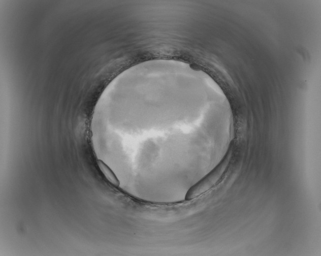 X0000110320029200907021211